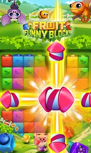 Fruit Funny Blocks 5