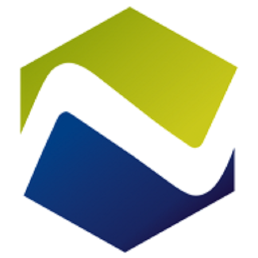 Nilesh Karkare & Associates logo
