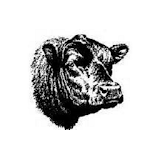 CowCalf icon