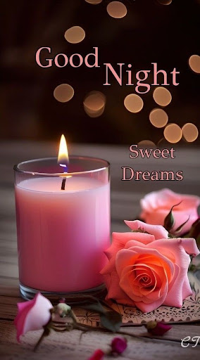 Good Night Images GIF Screen 2