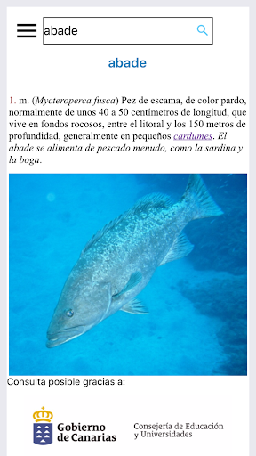 Diccionario Básico de Canarism Screen 2