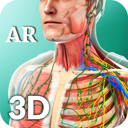 Ar Human Anatomy