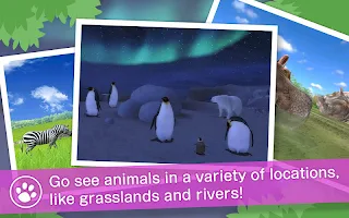 RealSafari : Find the animal - Screenshot 3