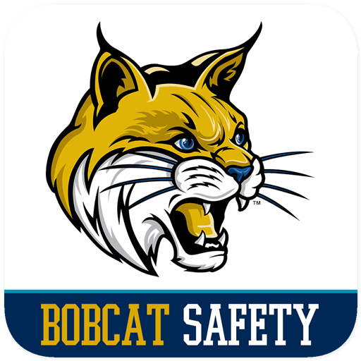 Bobcat Safety