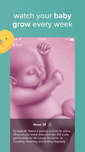 Ovia Pregnancy Tracker: Baby Due Date Countdown Screenshot