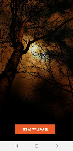 Twilight Sky Wallpapers