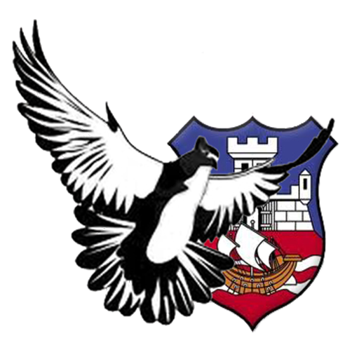 Golubarski Savez Srbije (Vreme logo