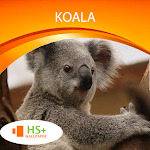 Cover Image of Download Koala Wallpaper 1.0.0 APK