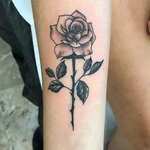 Rose -Tattoos