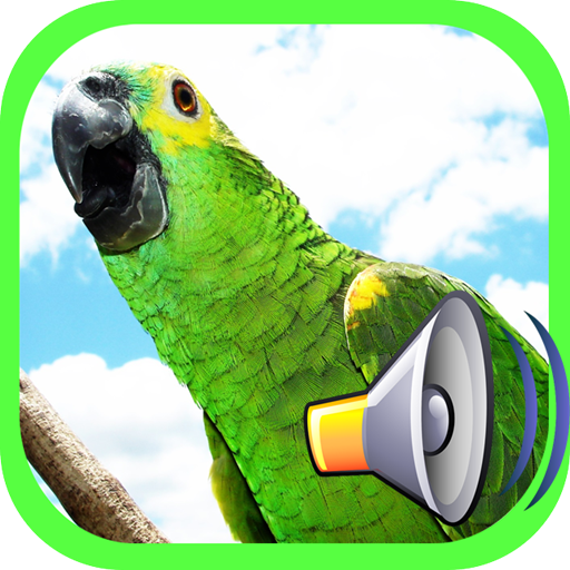 Call Birds logo