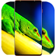 Iguana Wallpaper HD विंडोज़ पर डाउनलोड करें