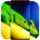 Iguana Wallpaper HD Windows'ta İndir