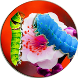 Caterpillar In Photo Simulator icon