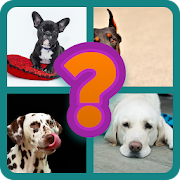 Top 33 Trivia Apps Like Adivina la raza de perros - Best Alternatives