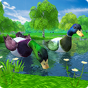 Télécharger Ultimate Duck Family Sim Installaller Dernier APK téléchargeur