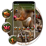 Cover Image of Download Squirrel Theme  APK