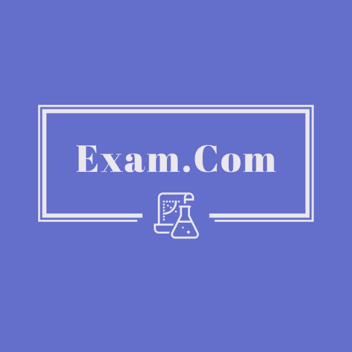 EXAM.COM logo