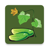 Vegetable Doctor icon