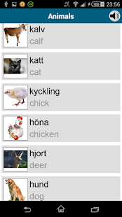 Learn Swedish - 50 languages Screenshot