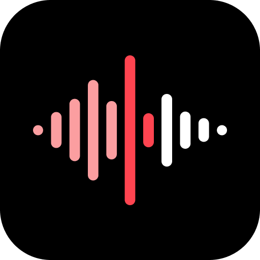 Voice Recorder  Icon