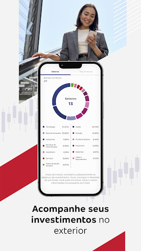 Bradesco Investments