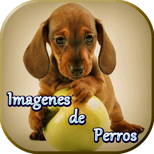 Imagenes de Perros logo