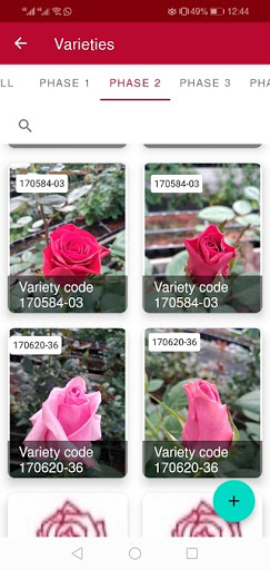 Kreative Roses App Screen 2