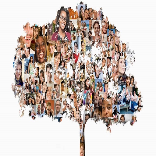 Follow Me Tree Download on Windows