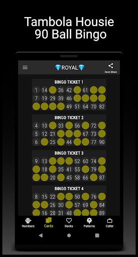Snap Bingo Caller & Verifier Screen 2