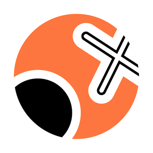 Il Pallinatore logo