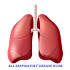 All Respiratory Diseases Guide