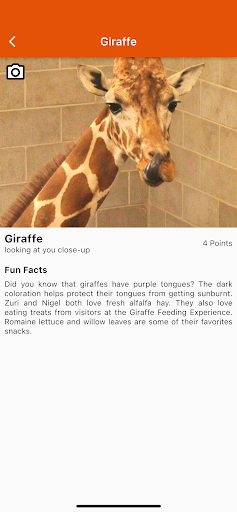 Photo Fun Safari Green Bay Zoo Screen 3