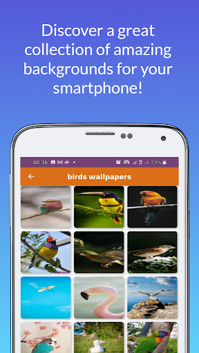 wallpapers/ خلفيات للهاتف Screen 2