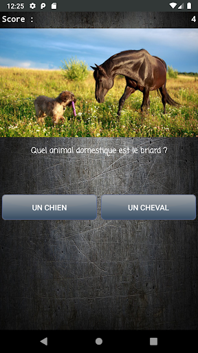 Quiz Culture générale Screen 3
