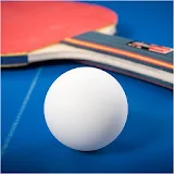 Ping Pong Table Tennis Pro icon