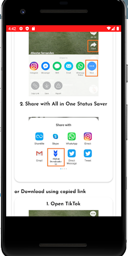 Afghan Downloader 93