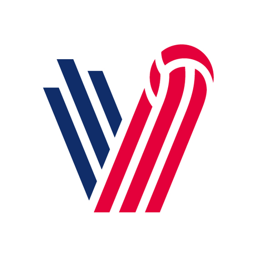 Český volejbal logo