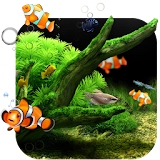 Aquarium Theme & Launcher icon