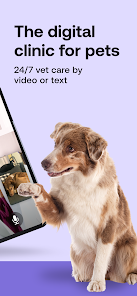 Pawp: 24/7 Vet & Pet Care 3