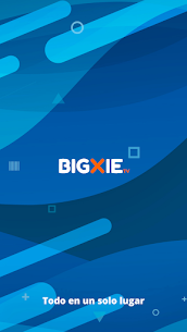BigXie 1