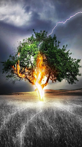 HD Meizu 16 Wallpapers