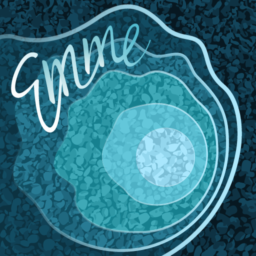 Einfluss Emme logo