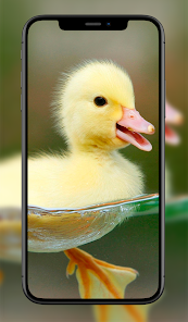 Captura de Pantalla 6 Fondos Animales Lindos android