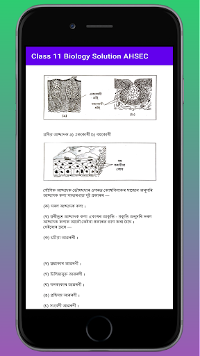 Class 11 Biology Notes AHSEC Screen 2