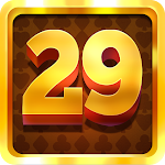 Cover Image of Tải xuống 29 Card Master  APK