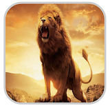 Lion Wallpapers HD icon