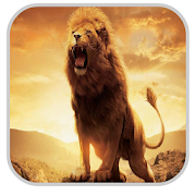 Lion Wallpapers HD  Icon