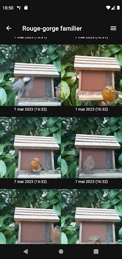 BirdyCam Screen 2