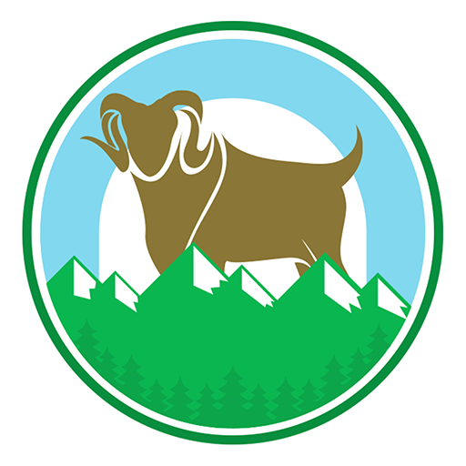 ذبائح البلد logo