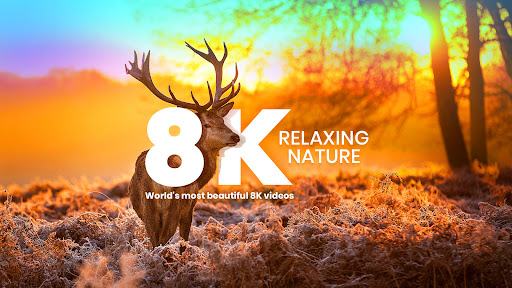 8K Landscapes screenshot 12